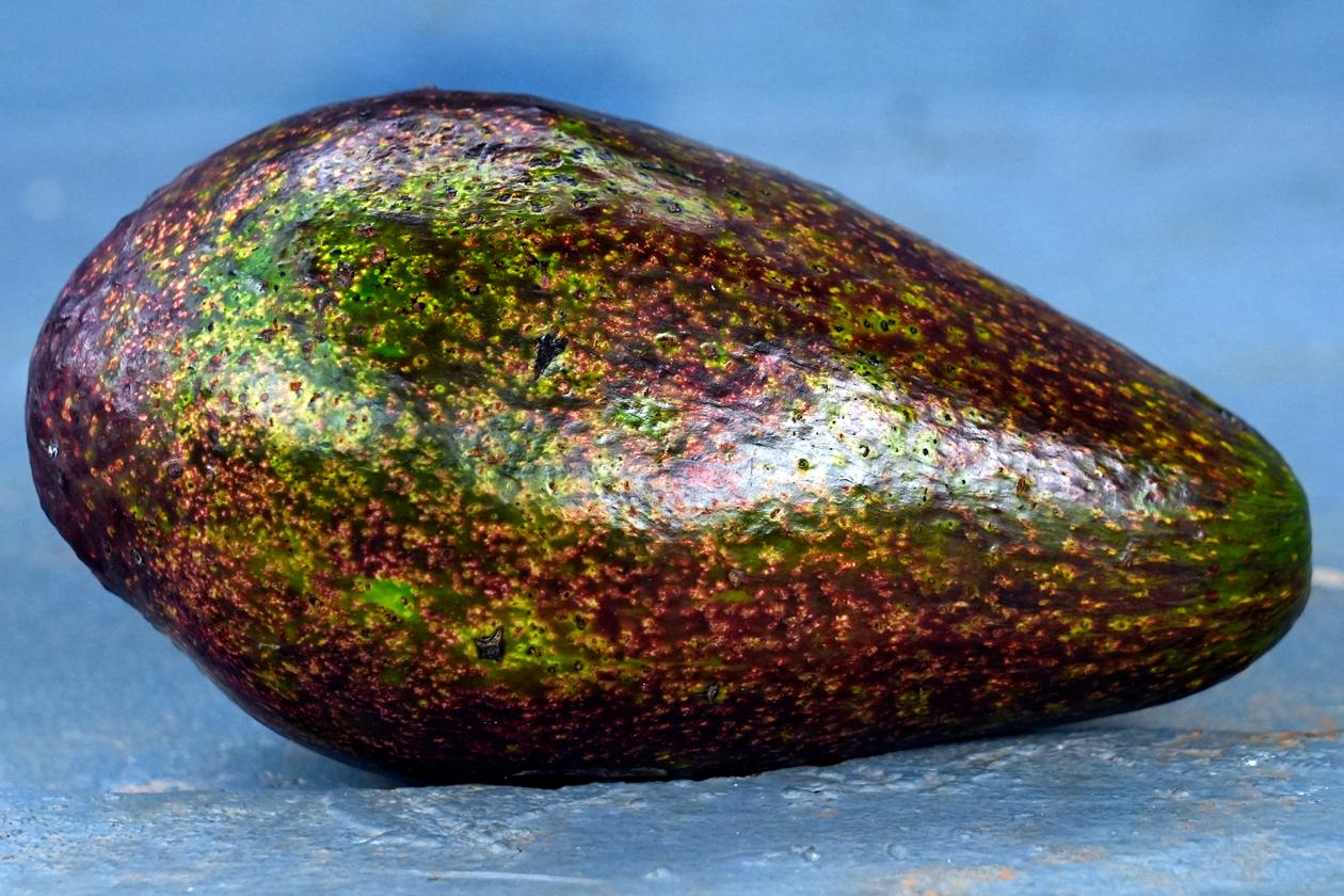Bacon Avocado