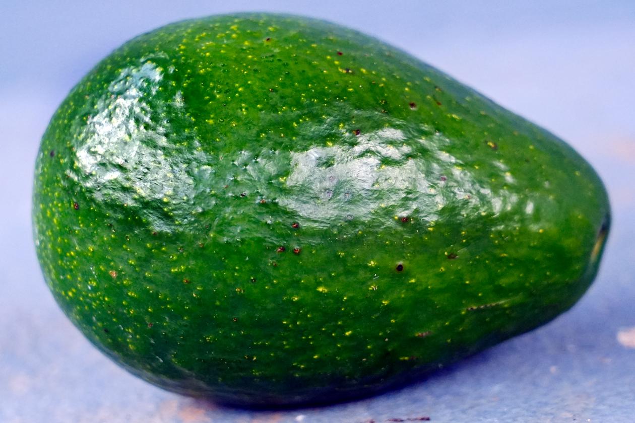 Purit Avocado