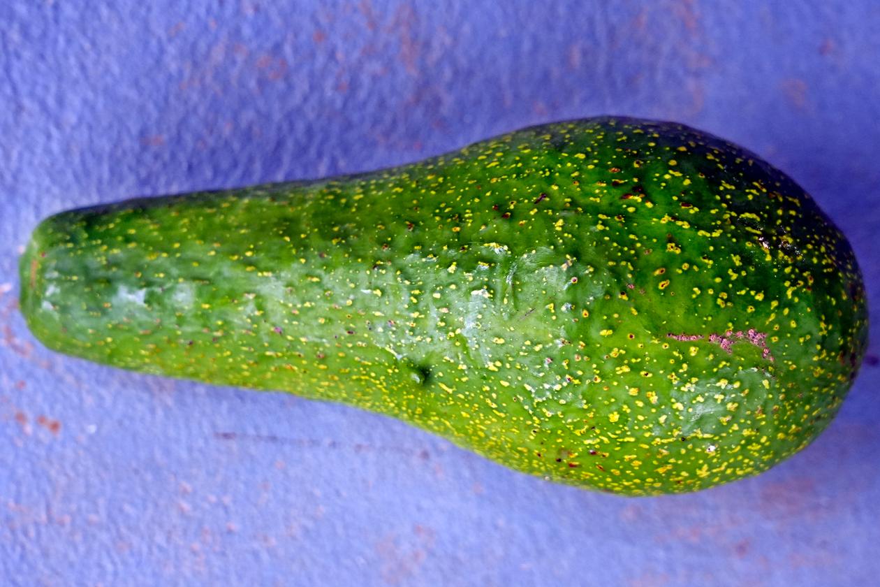 Rasul